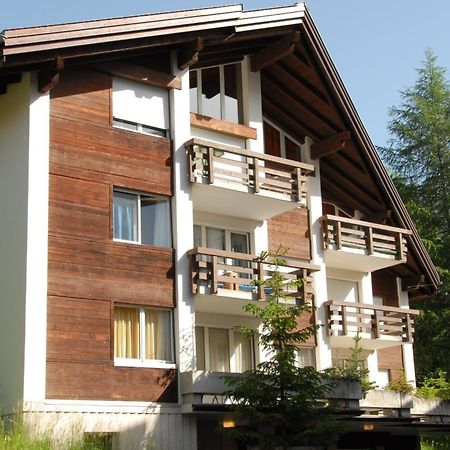 Charming And Cosy Apartment Murren Luaran gambar