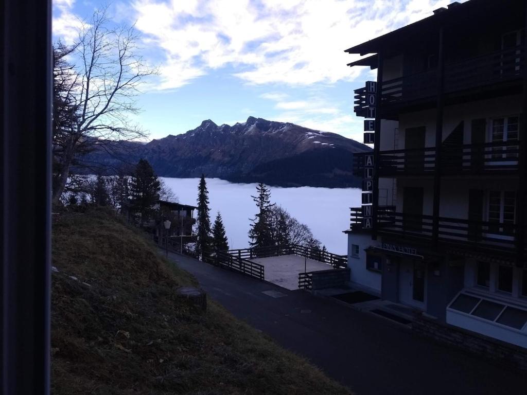 Charming And Cosy Apartment Murren Luaran gambar